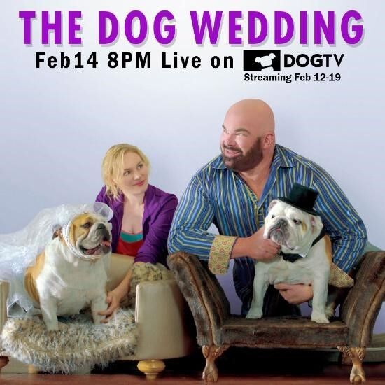 DogTV movie trailer poster